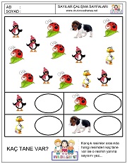 okul öncesi çocuklar için sayı kavramı ile ilgili çalışma sayfaları